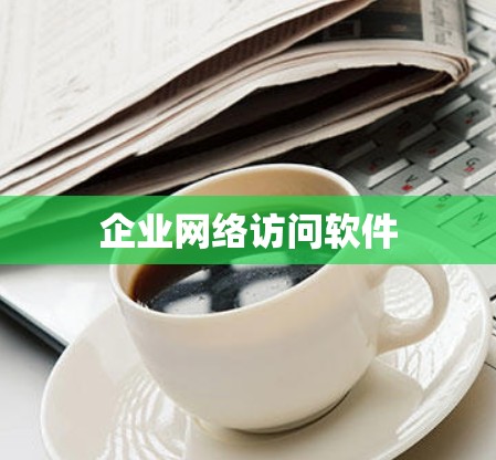 企业网络访问软件 企业网络访问软件