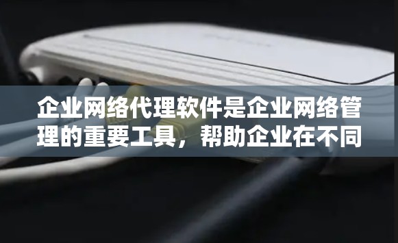 企业网络代理软件是企业网络管理的重要工具，帮助企业在不同项目中高效管理网络资源。以下是该类软件的详细总结