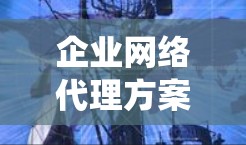 企业网络代理方案是一个旨在为用户提供网络服务的系统，通常用于提供软件产品、数据传输、远程办公服务或其他类型的网络服务。以下是一个详细的网络代理方案