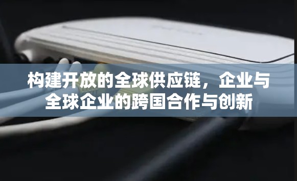 构建开放的全球供应链，企业与全球企业的跨国合作与创新