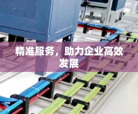 精准服务，助力企业高效发展
