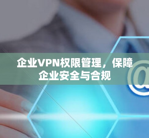 企业VPN权限管理，保障企业安全与合规