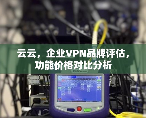 云云，企业VPN品牌评估，功能价格对比分析