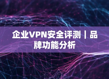 企业VPN安全评测｜品牌功能分析