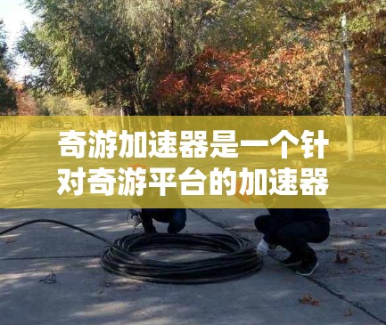 奇游加速器是一个针对奇游平台的加速器应用，旨在帮助用户在奇游上更轻松、更流畅地玩各种游戏。奇游加速器的功能通常包括但不限于以下几点