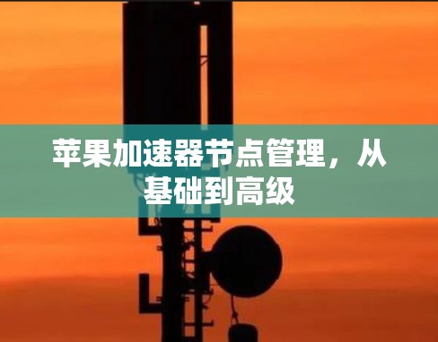 苹果加速器节点管理，从基础到高级