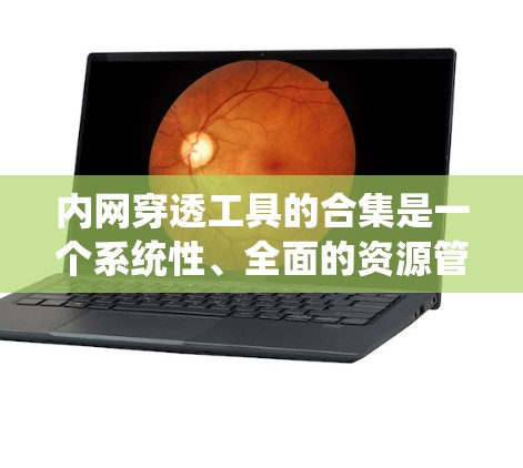 内网穿透工具的合集是一个系统性、全面的资源管理，涵盖多种类型的工具，旨在检测和防范内网攻击。以下是收集和整理这些工具的步骤