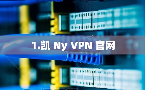1.凯 Ny VPN 官网