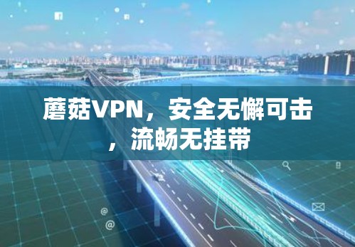 蘑菇VPN,安全无懈可击,流畅无挂带 蘑菇VPN,安全无懈可击,流畅无挂带
