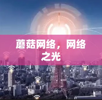 蘑菇网络，网络之光