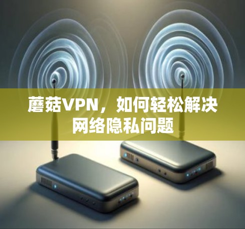 蘑菇VPN，如何轻松解决网络隐私问题