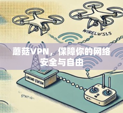 蘑菇VPN，保障你的网络安全与自由