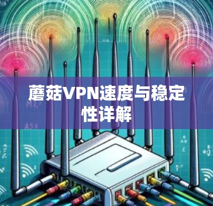 蘑菇VPN速度与稳定性详解