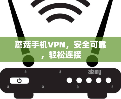 蘑菇手机VPN，安全可靠，轻松连接