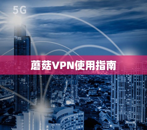 蘑菇VPN使用指南