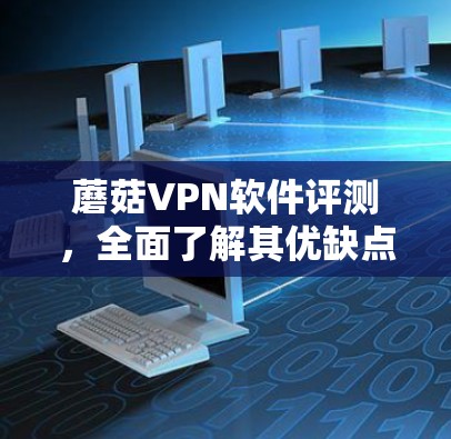 蘑菇VPN软件评测，全面了解其优缺点