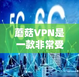 蘑菇VPN是一款非常受欢迎的VPN服务，用户可以根据自己的需求选择适合的VPN品牌。以下是关于蘑菇VPN和免费VPN排行的一些详细信息