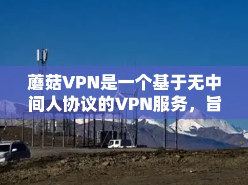 蘑菇VPN是一个基于无中间人协议的VPN服务，旨在提供安全、匿名和隐私的网络访问。要配置蘑菇VPN，您可以按照以下步骤进行