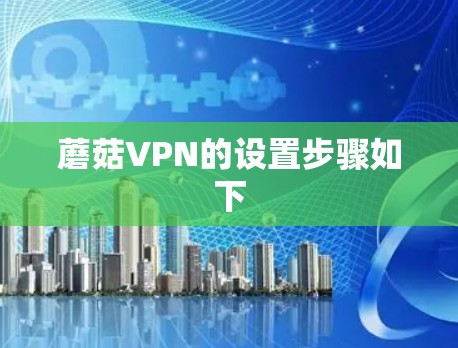 蘑菇VPN的设置步骤如下