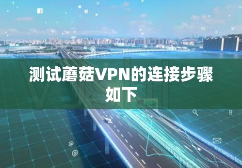 测试蘑菇VPN的连接步骤如下