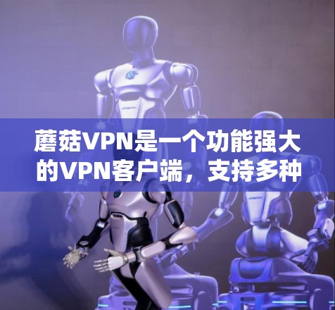 蘑菇VPN是一个功能强大的VPN客户端，支持多种协议，包括VPN、端到端和端到端端到端协议（L2PL）等。以下是安装蘑菇VPN客户端的步骤