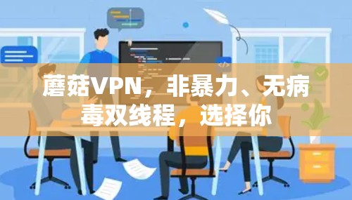 蘑菇VPN，非暴力、无病毒双线程，选择你