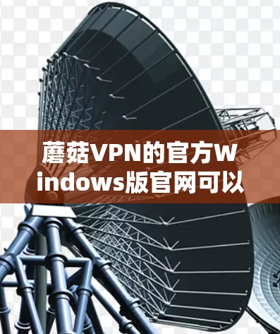 蘑菇VPN的官方Windows版官网可以通过以下步骤访问