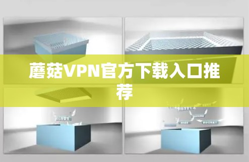 蘑菇VPN官方下载入口推荐
