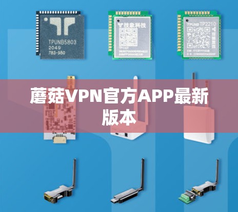 蘑菇VPN官方APP最新版本
