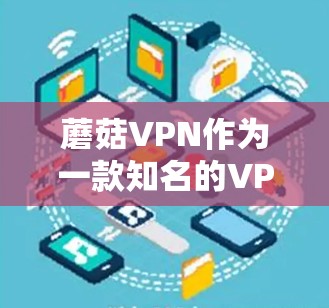 蘑菇VPN作为一款知名的VPN服务，以其多样化的功能和灵活的支付模式而受到广泛好评。以下是对蘑菇VPN的函数评测