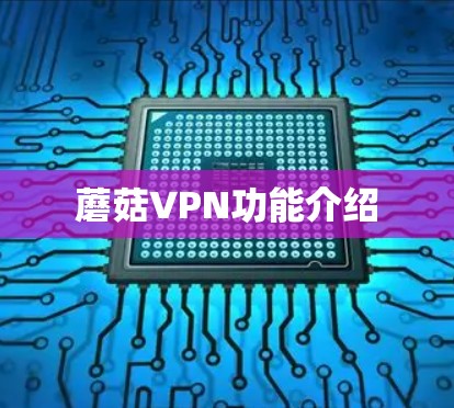 蘑菇VPN功能介绍