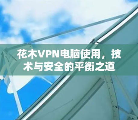 花木VPN电脑使用，技术与安全的平衡之道