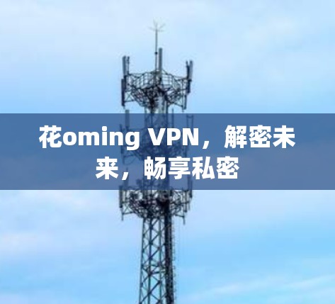 花oming VPN，解密未来，畅享私密