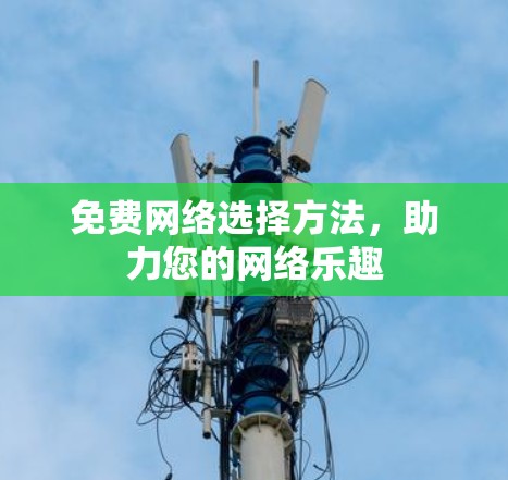 免费网络选择方法，助力您的网络乐趣