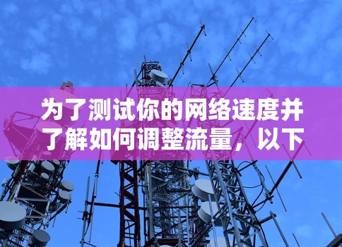 为了测试你的网络速度并了解如何调整流量，以下是一些步骤的指南