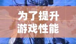 为了提升游戏性能,建议按照以下步骤进行