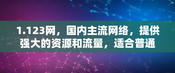 1.123网，国内主流网络，提供强大的资源和流量，适合普通用户