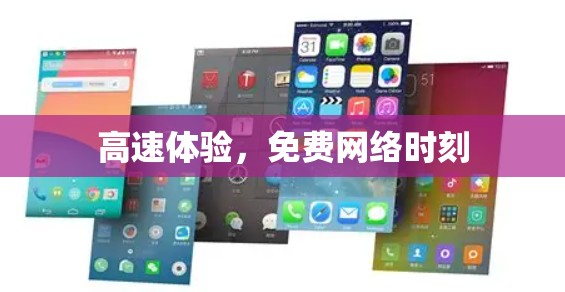 高速体验,免费网络时刻