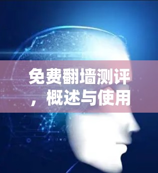 免费翻墙测评，概述与使用指南