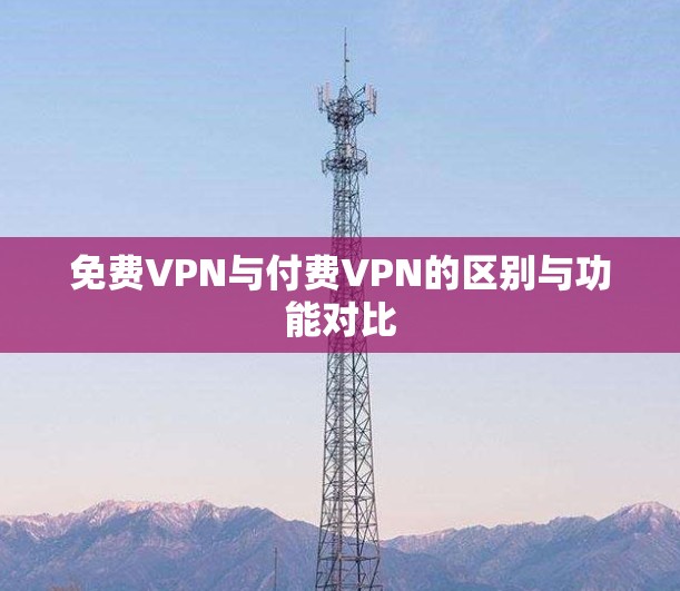 免费VPN与付费VPN的区别与功能对比