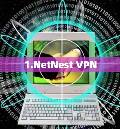 1.NetNest VPN
