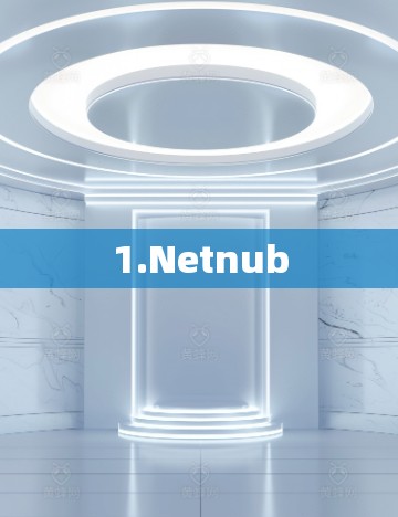 1.Netnub