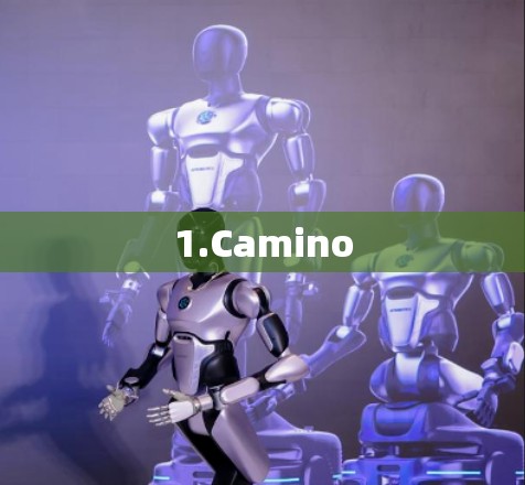 1.Camino