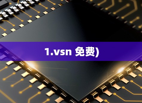 1.vsn 免费)