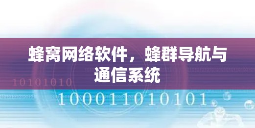 蜂窝网络软件，蜂群导航与通信系统