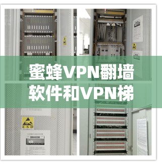 蜜蜂VPN翻墙软件和VPN梯子是现代VPN工具中常用的模块,它们各自有不同的功能和适用场景。以下是对这两种工具的详细分析和推荐 蜜蜂VPN翻墙软件和VPN梯子是现代VPN工具中常用的模块,它们各自有不同的功能和适用场景。以下是对这两种工具的详细分析和推荐