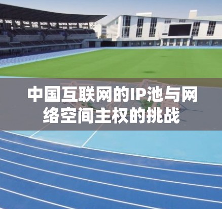 中国互联网的IP池与网络空间主权的挑战