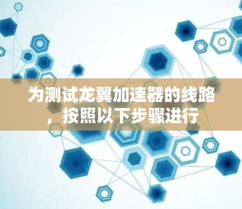 为测试龙翼加速器的线路，按照以下步骤进行