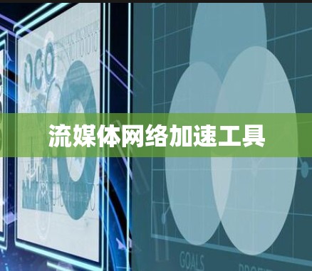 流媒体网络加速工具