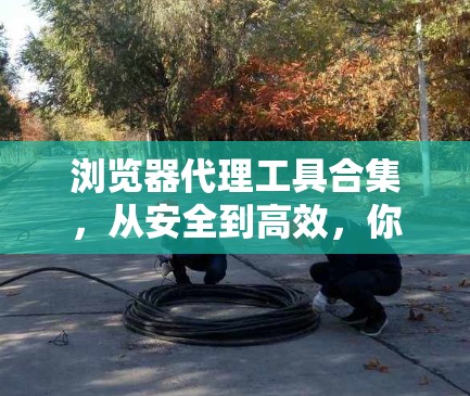 浏览器代理工具合集，从安全到高效，你的通信完美解决方案